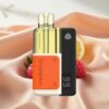 Snowplus Swift Pod Kit 15000 Puffs Dual Mesh 1000mAh Blaue Lemon Razz 2+10ml