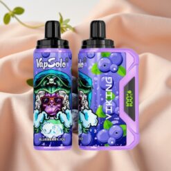 VapSolo VIKING 12000 Puffs 22ml 20/50mg Typ-C LED Display Blueberry