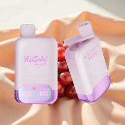 Vapsolo Twins 20000 Puffs 40ml 20/50mg Typ-C Grape Ice & Strawberry Kiwi