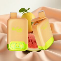 Vapsolo Twins 20000 Puffs 40ml 20/50mg Zitronenlimette-Wassermelone-Eis Typ-C 2-Tank