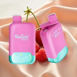 Vapsolo Twins 20000 Puffs 40ml 2×Tank Typ-C Erdbeere Himbeere Kirsche Eis & Traube Eis