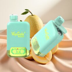 Vapsolo Twins 20000 Puffs 40ml 2xTank Type-C Triple Melon & Pineapple Coconut